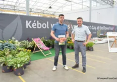 Joey Huffman en Kees van der Meij van Kebol Plants, de ‘hostlocatie’ van Benary, Pac aan Volmary. Ze laten een deel van hun bare-root assortiment zien.